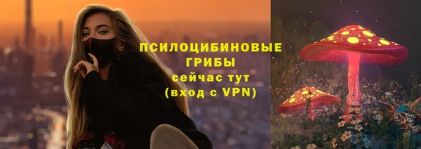 mdpv Богданович