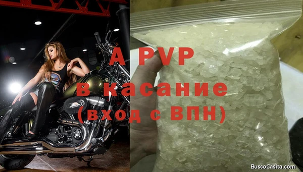mdpv Богданович