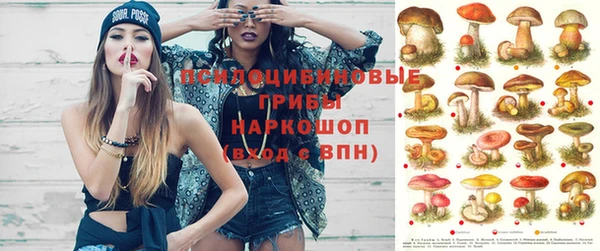 герыч Богородицк